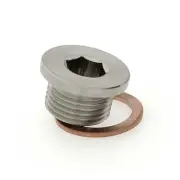M18 x 1.5 Stainless Steel 316 Allen Key Slotted Plug with Copper Washer PLG-M18