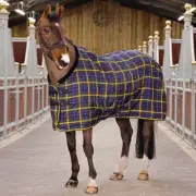 SHIRES EQUESTRIAN TEMPEST PLUS LITE STABLE RUG (SIZE 60")