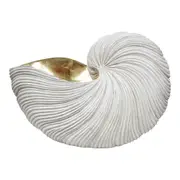 Decorative Resin 35cm Nautilus Shell Home Decor Table Display XL Aged White/Gold