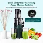 Fruit Juicer Extractor Vegetable Processor Cold Press Slow Juicer Wide Mouth AU