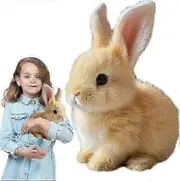 Hopping Bunny Toy,Rabbit Plush Interactive Toys,Electric Rabbit Toys SZRH A-C