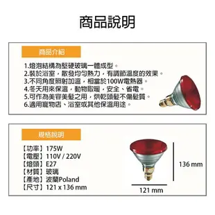 飛利浦/HP 隨機出貨 175W 110V 220V PAR38珠寶燈 清光/紅色 紅外線 保暖 保溫燈泡 〖永光照明〗%175W%VPAR38-1JM%