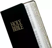 Mini Gold-Edged Bible Indexing Tabs Old & New Testament 80 Tabs 64 Books