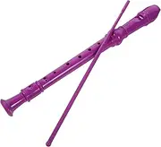Kisangel 1 Set Soprano Recorder Flute for Beginners Safe Material Includes Cleaning Rod Musical Instrument for Teens and Adults Stylish Design with Sound