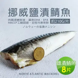 【築地一番鮮】厚片超大挪威薄鹽鯖魚8片(210g片)免運組