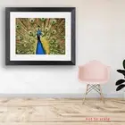 Peacock Feather Art ORIGINAL ART PHOTO FRAMED PRINT 57X47CM