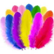 500pcs-Colorful Rooster Feathers 3-5inch Bulk Feathers for Crafts multicolored
