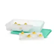 New Tupperware Snack-Stor Large with Egg Inserts