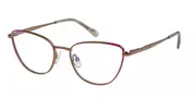 Radley RDO 6019 011 Men's Glasses Brown Size 53 - Private Health Rebate - Blue Light Block Available
