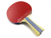 Table Tennis Racket DHS H5002 Ping Pong Paddle + Cover 5 Star Paddle FL Handle