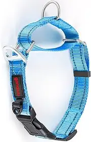 Gonalulu Martingale Nylon Safety Training Dog Collar. Reflective No-Pull Slip Collar for Small Medium Large Dogs (Blue, M:14-17" * 1")