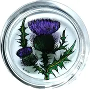 Winged Heart Decorative Hand Printed Stained Glass Paperweight in a Scottish Thistle Design.