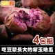 【微解饞】吃豆漿長大的 紫玉地瓜4包組(250g±10%/包)