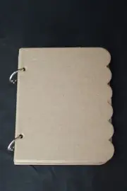 Mini Mix & Match Chipboard Unfinished Bare Chipboard Album 8 pgs w/ rings