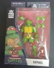 TEENAGE MUTANT NINJA TURTLES ✨ACTION FIGURERAPHAEL ✨BST AXN✨NEW✨ NICKELODEON