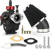 NIBBI PE28 Carburetor Kit, 28mm carburetor with Carb Jets - Fit for 200cc-250cc Dirt Bike Pit Bike Apollo TaoTao Lifan Kayo SSR