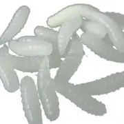 50pcs 1.6cm bait fishing maggot Grub Soft Baits Worms Noctilucent Luminous1553