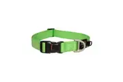 Rogz Lime X-Large 25mm Wide x 43cm to 70cm Classic Utility Collar for Dogs & Puppies