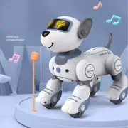 Smart stunt Dog Robot pet remote control toy child