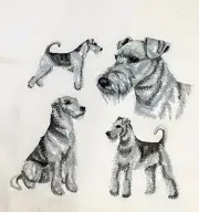 Airedale Dog Medley design - Machine Embroidered Quilt Block-3 shades of colour