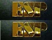 ESP Guitar Headstock Logo DIE-CUT Decal, LOT x1, Luthier 0.4% Gold Leaf, OEM