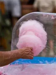Cotton Candy Cart Vendor Floss Machine Business MARKETING PLAN MS Word/Excel NEW