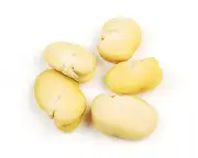 Whole Peeled Fava Beans 2 lb Habas Beans Gluten Free Dried Beans