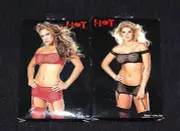 3 Piece Cargo Net Set with Top, Skirt with Garters and Stockings Red White Black