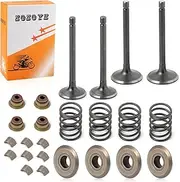 Fugi Robbin 295cc 350cc Exhaust & Intake Valve & Seals Springs Rebuild kit For EZGO 4 Cycle Gas Golf Cart MCI 2003-2008 72857-G01 72507-G01 Valve Collet Keepers and Valve Spring Retainers