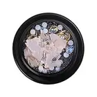 1 Box Shell Stone Nail Studs Chic Eco-friendly DIY Manicure Shell Stone Nail