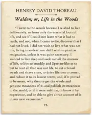 Thoreau - Walden I Went To The Woods - 11x14 Unframed Typography Book Page Print