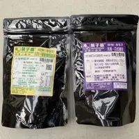 在飛比找蝦皮購物優惠-菊子香 冷泡微炭燒烏龍茶 日式綠茶 高山冷泡茶