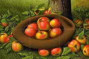 apples in a hat harvest Tile Mural Kitchen Bathroom Backsplash Marble Ceramic