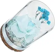 JUMPLAWN 1pc Immortal Flower Glass Dome Creative Present Box for Valentine Day Christmas Decor Beautiful Rose Display for Lovers Special Occasions
