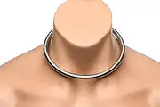 MASTER SERIES Stainless Steel Locking Collar with Included Hex-Key. Choker Collar Decorative Accessory for Women. Durable & Nickel Free - Size Medium (15.2 Inches)