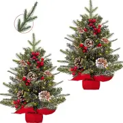 2 Pack 24"/2FT Small Christmas Tree with Lights Frosted Norfolk Realistic-Feel A