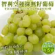 【WANG蔬果】智利空運綠無籽葡萄(5袋_每袋約800-1000g)
