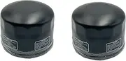 2Pcs Oil Filter Compatible with Kawasa-ki ZX-6 R Ninja 300 400 500 500R 650 650R 1000 Accessories 16097-0002 16097-0004 Replace HF303 303 15400-P0H-305