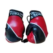 Mini Boxing Gloves Olympics Soccer Car Mirror Hanging Décor Trinidad & Tobago