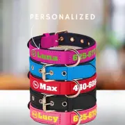 Personalized Dog Collar – Waterproof, Padded, Custom ID, 8 Colors, S–L Sizes