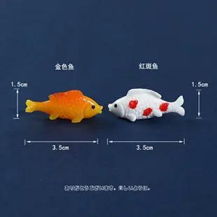 仿真可愛小金魚小魚動物水下景觀模型迷你鯉魚樹脂玩具沙盤小擺件