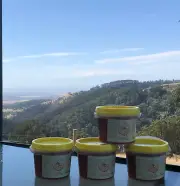 1KG MOUNTAIN HONEY/100% RAW AUSTRALIAN HONEY From WILD FLOWERS and EUCALYPTUS