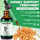 Immune Energy Renal Wellness Natural Kidney Support Urinary Tract Drops for Dogs