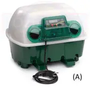 Covina 12 Egg Poultry Incubator High Quality Italian made - Manual