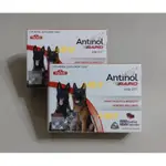 ANTONIO RAPID 🔥🔥 安適得酷版 150顆裝 犬貓適用 下單請看商品描述