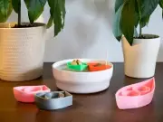 Avocado Seed Guard Boat Sprouter - Grow Your Own Avocados!