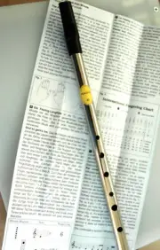 Feadog Irish Tin Whistle Penny Whistle Profesional Nickle Key "D" 8077N