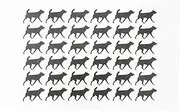 Half a Donkey The Black Dog (Silhouette Form) Large Cotton Tea Towel