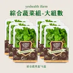 【源鮮智慧農場】綜合蔬菜盒6入組(生菜、沙拉、萵苣、水耕蔬菜)【優惠組合與其他商品併單運費重新計算】