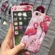 iPhone8/8plus/7/7plus/6/6s/6plus/6splus 波點火烈鳥 全屏軟邊鋼化膜+手機殼 E區(170元)